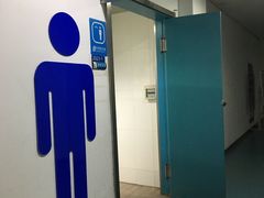 -奥体中心游泳馆