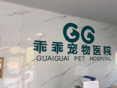 -乖乖宠物医院·猫科·骨科·24小时(云岗分院)