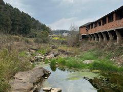 -仙海旅游度假区