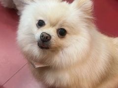 -和它·交个朋友·狗咖猫咖(爱琴海店)