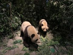 -长江文明馆
