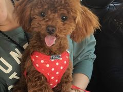 -惠康宠物医院(华能路店)