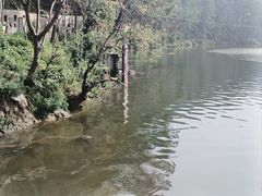 -黔灵山公园