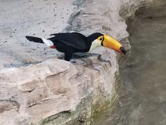 -海合安武汉极地海洋公园