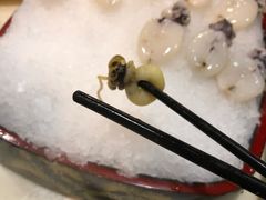 -洞仙锅(花园街店)