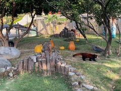 -泉州海丝野生动物世界