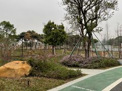 -王借岗森林公园