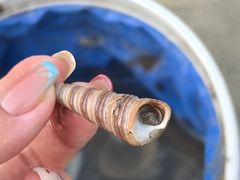 -万尾金滩