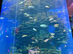 -泉城欧乐堡海洋极地世界