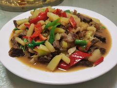 -煲来饱去冷水鱼