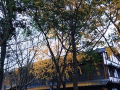 景点-黄龙溪古镇