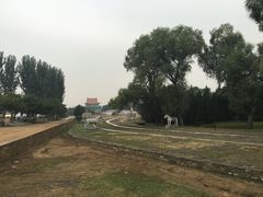 -清东陵