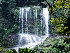 -龙苍沟森林公园