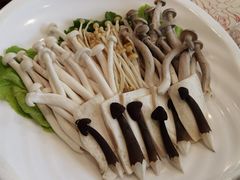 -钦善斋(武侯祠店)
