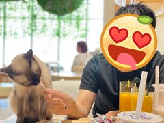 -藏猫猫咖啡主题馆(中央大道店)