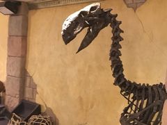 -信不信由你博物馆