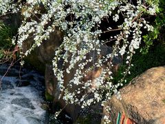 -中国茶叶博物馆(双峰馆区)