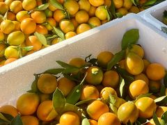 -南坛综合农贸市场