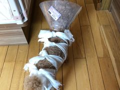 -北京观赏动物医院·24小时大型综合·猫专科·异宠专科