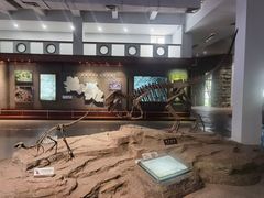 -自贡恐龙博物馆
