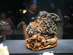 -山东博物馆
