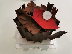 -蘭茉L'Amour(万象城店)