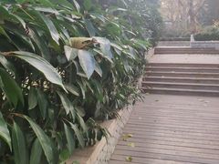 -贮水山儿童公园