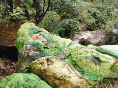 -南海湾森林生态园