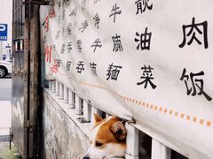 -小梁哥云吞面(黄贝岭店)