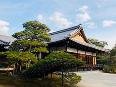-豆政(金閣寺境内売店)