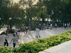 -宝安西湾红树林湿地公园