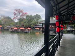 -侨美·唐荔园·40年地道粤菜