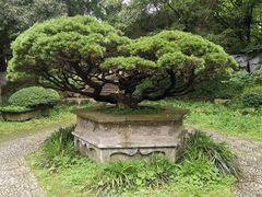 -虞山风景区