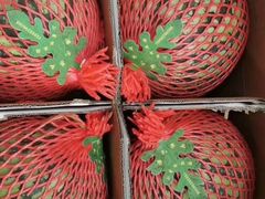 -上海龙吴水胜海发市场