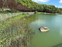 -美兰湖景区