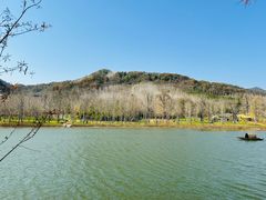 -千年银杏谷文化旅游区