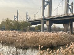 -元大都城垣遗址公园