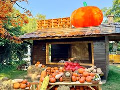 -HERRE·FARM 赫尔露营农场·团建聚会包场