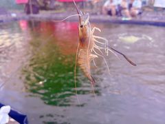 -DGE季风钓虾营地·团建·聚会