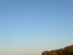 -昆山城市生态森林公园