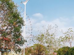 -南昌之星游乐场