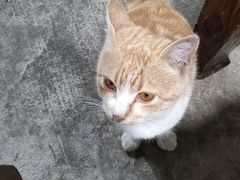 -竹一味·竹筒饭
