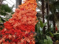 -沈阳植物园