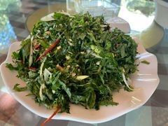 凉拌藿香-草根堂农场