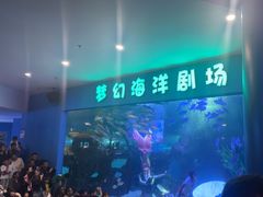 -聊城海底世界