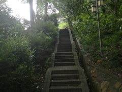 -伯先公园