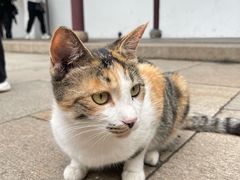 -西园寺素食(西园弄戒幢律寺店)
