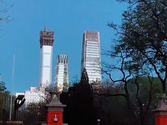 -团结湖公园