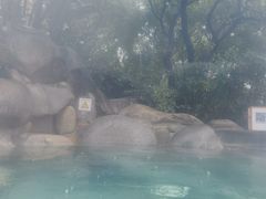 -华山御温泉度假村