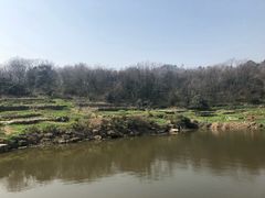 -巢湖姥山岛